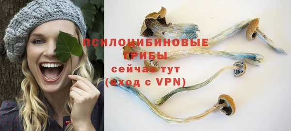 герыч Бородино